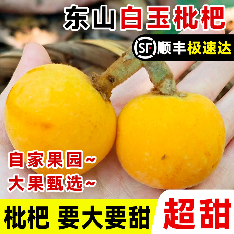 现货正宗苏州东山白玉枇杷顺丰礼盒新鲜当季水果青种大琵琶白沙