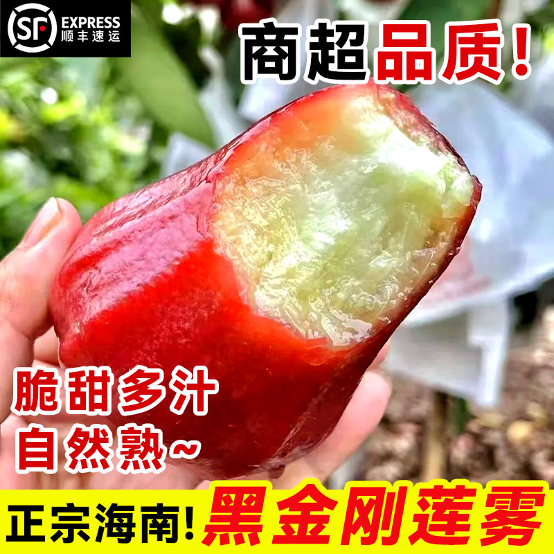正宗海南黑金刚莲雾应当季新鲜现摘水果小果脆甜多汁整箱顺丰包邮