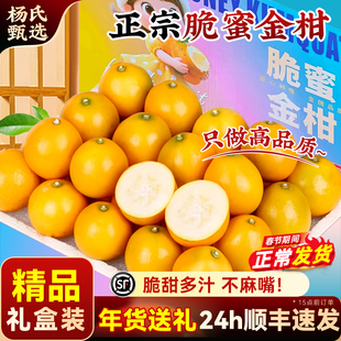 【顺丰送上门】正宗融安第三代脆蜜金柑广西金桔新鲜现摘礼盒整箱