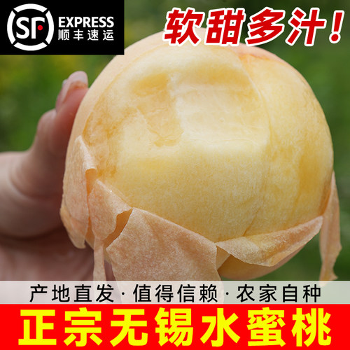 【5-6两】正宗无锡水蜜桃子新鲜水果兑换卡阳当季整箱湖景山礼盒