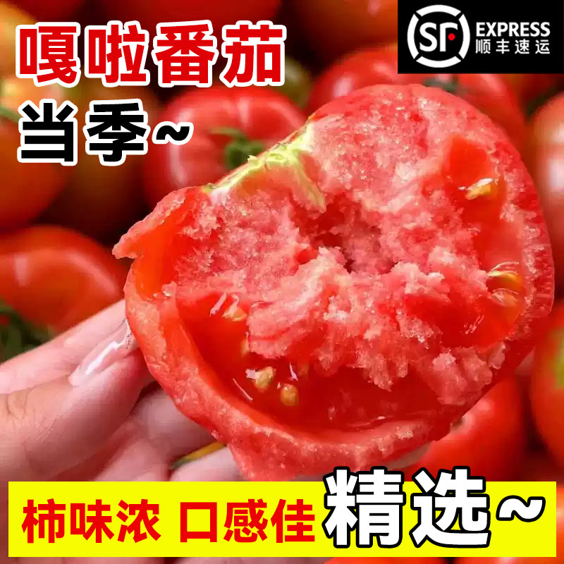 嘎啦番茄铁皮柿子应当季新鲜水果草莓西红柿日本品种整箱包邮