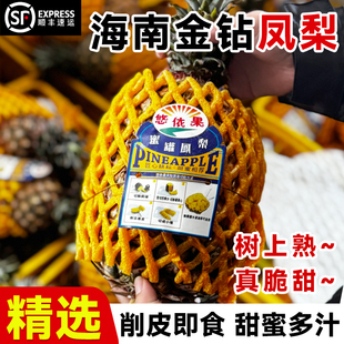 正宗海南金钻凤梨应当季新鲜水果特大现摘菠萝树上熟整箱顺丰包邮