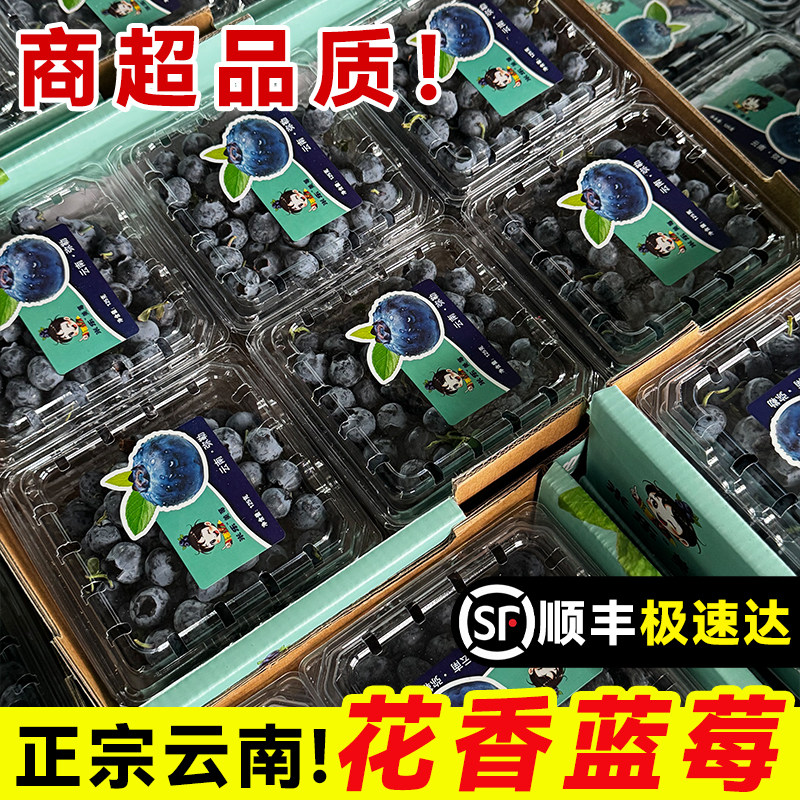 云南花香蓝莓特大新鲜水果应季高山现摘L25怡颗蓝梅整箱顺丰包邮