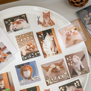 小日子不翻篇 饰贴画 是一只好猫系列贴纸包可爱小猫手帐手机壳装