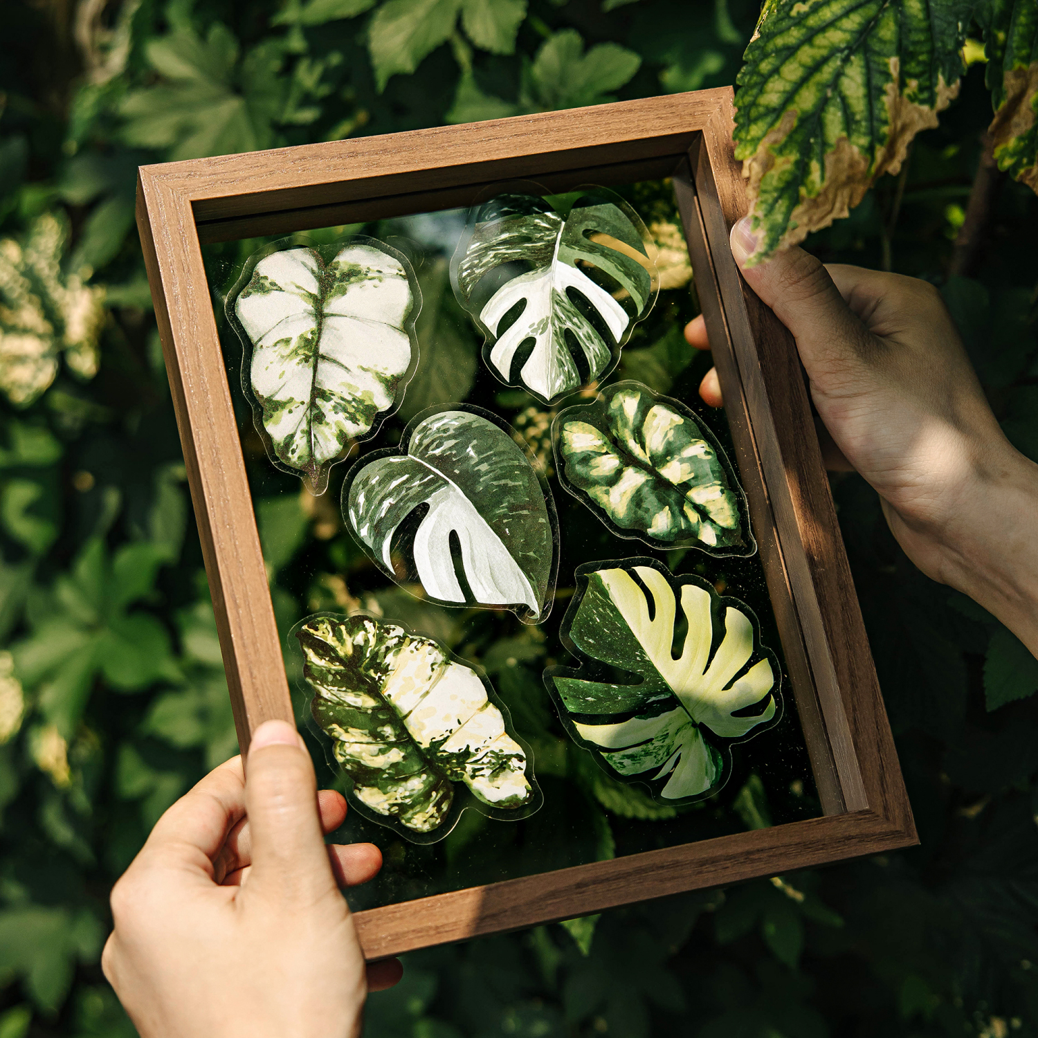 绿叶自然手札PET贴纸包