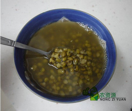 农家自种绿豆 五谷杂粮 粗粮 夏天到了喝绿豆汤