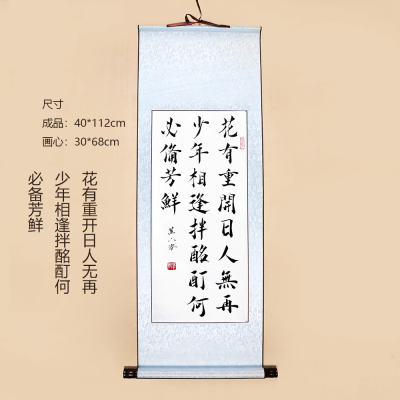 花有重开日人无再少年惜时警句手写毛笔书法宣纸卷轴