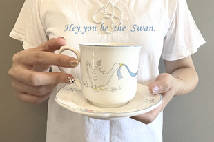 Swan,是天鹅呀！ins可爱复古法式手绘陶瓷小天鹅咖啡杯精致下午茶