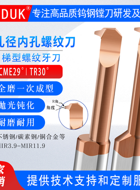 小孔梯形螺纹车牙刀钨钢小径内孔29°ACME TR30°T型合金牙刀