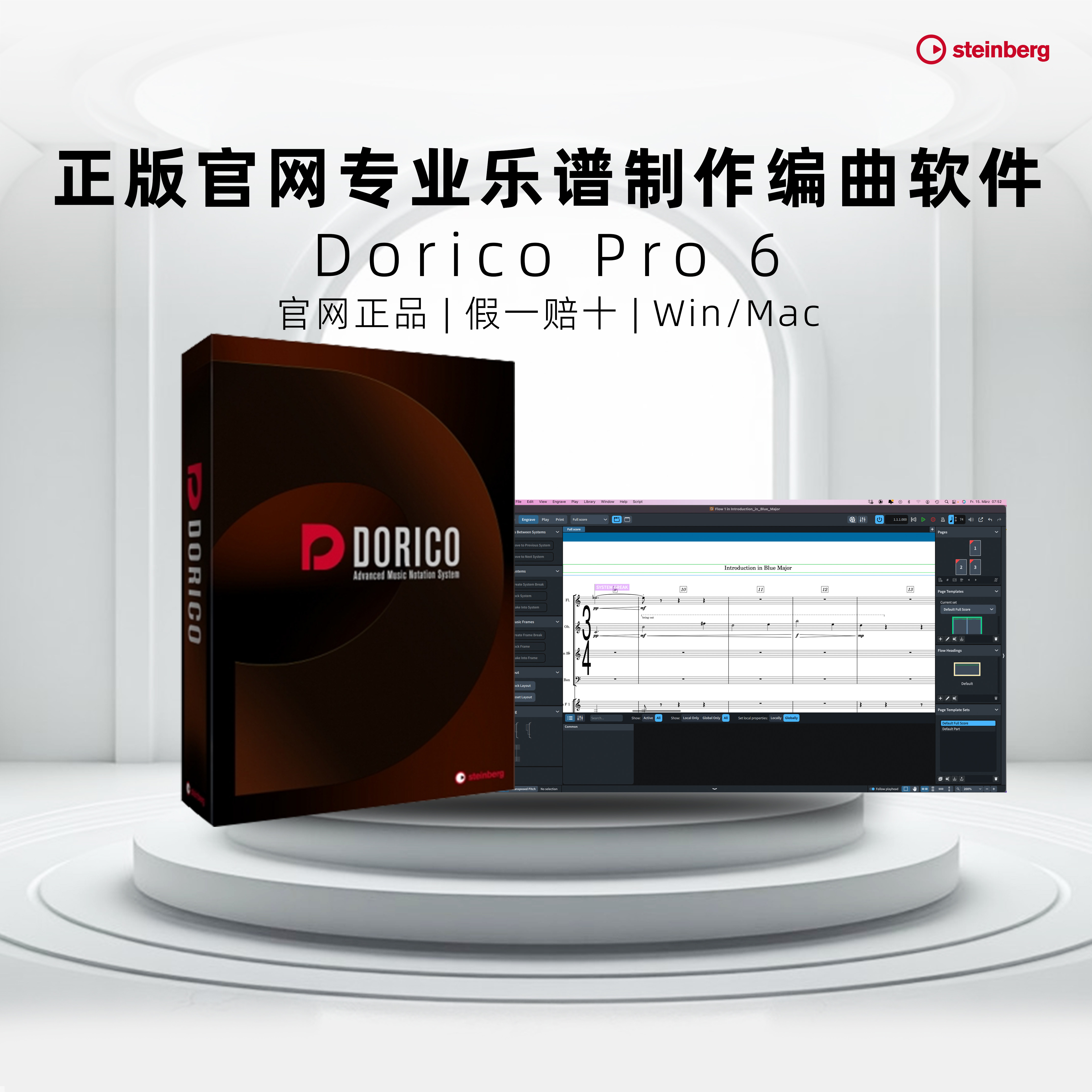 Steinberg Dorico 15 专业打谱软件五线谱 专业乐谱制作编曲软件
