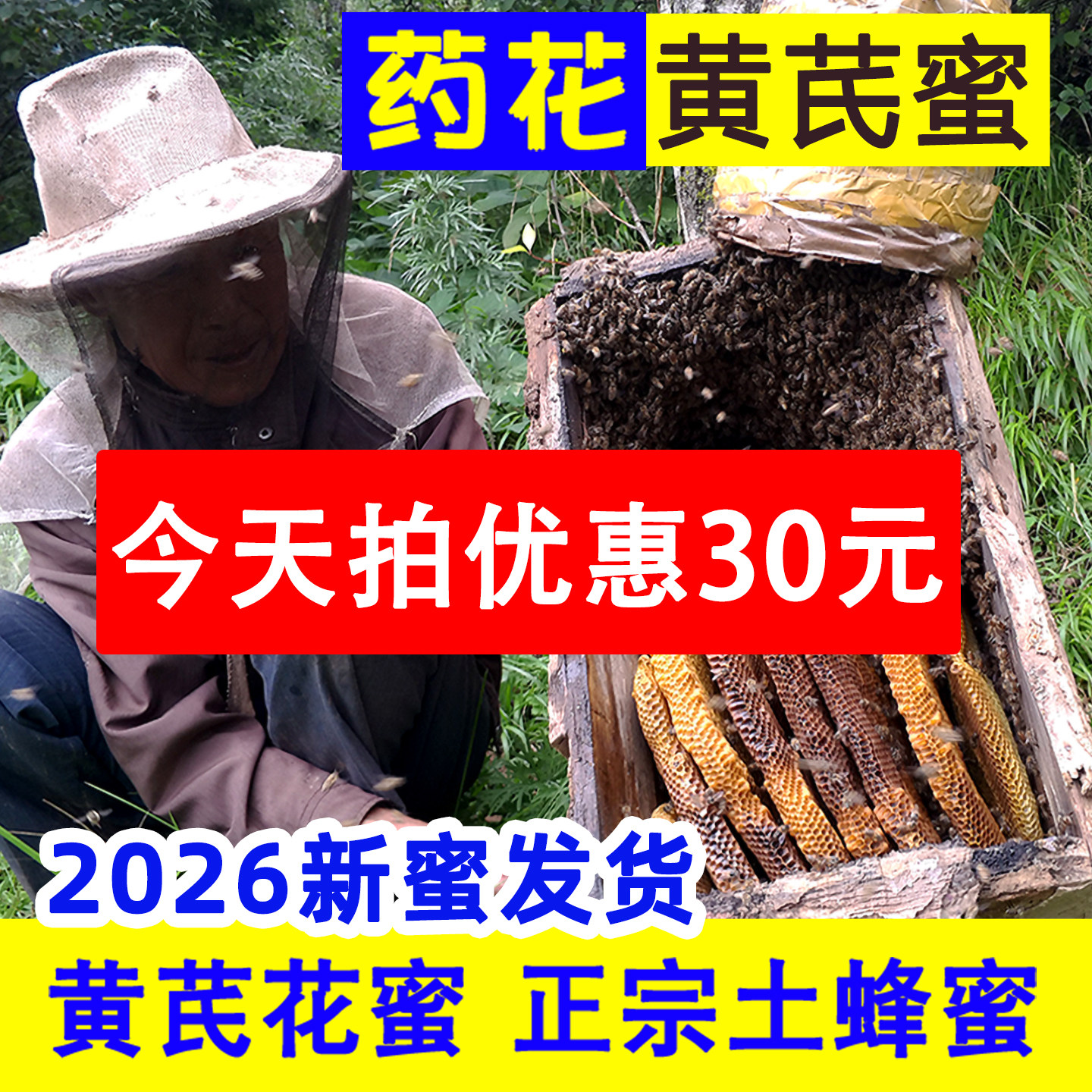 高原甘肃黄芪党参百花土蜂蜜