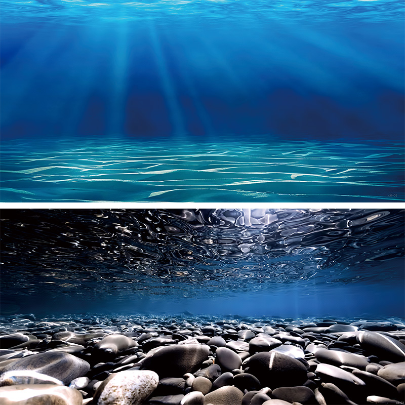 新款鱼缸背景画壁纸高清3D立体缸外正面胶尺寸定制鱼缸贴纸