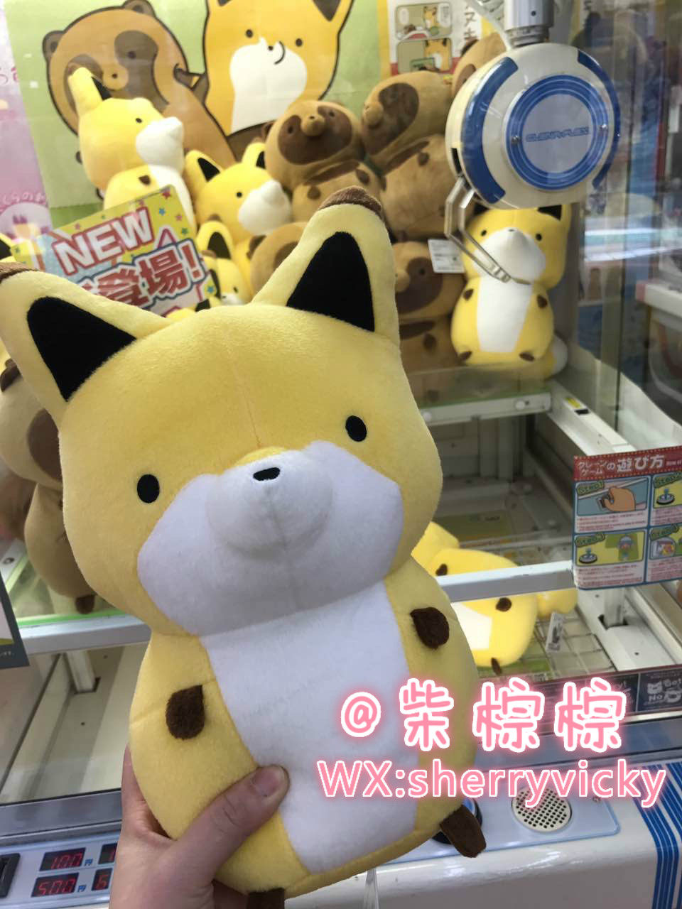 Coussin Manga - Ref 2690851 Image 1