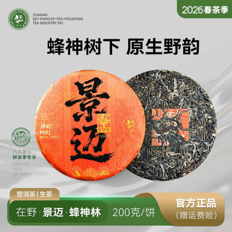 2026春茶在野景迈蜂神林/六大茶山云南普洱茶生茶古树茶纹链溯源