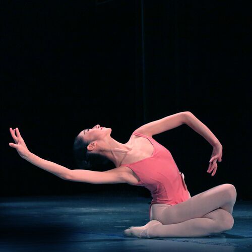 新品Viyon舞未央 舞r蹈服 艺考单双吊带收腰大背舞蹈服 芭蕾表演