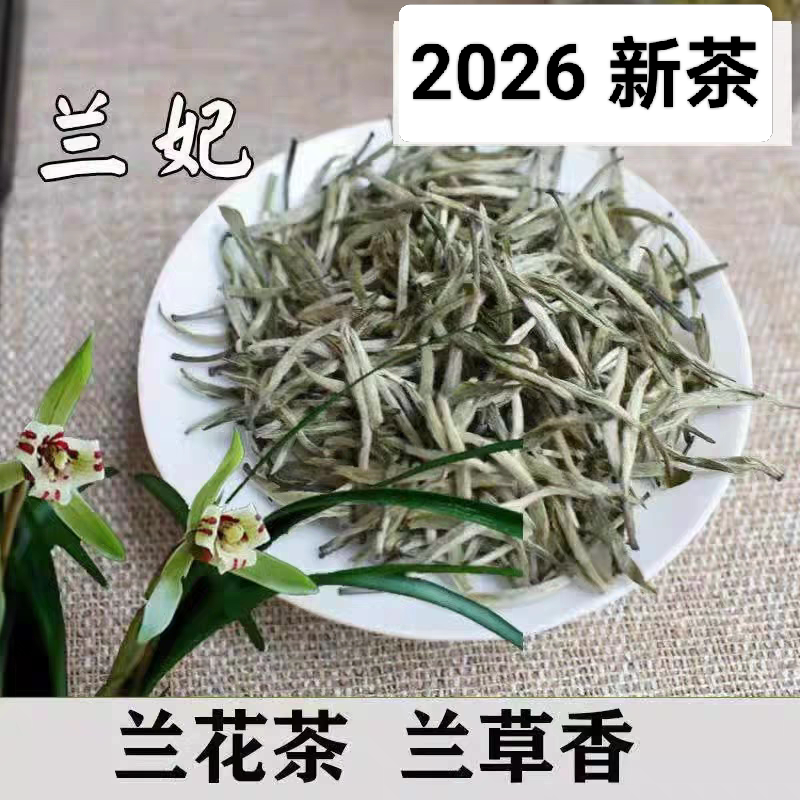 2026明前兰花雀舌兰妃