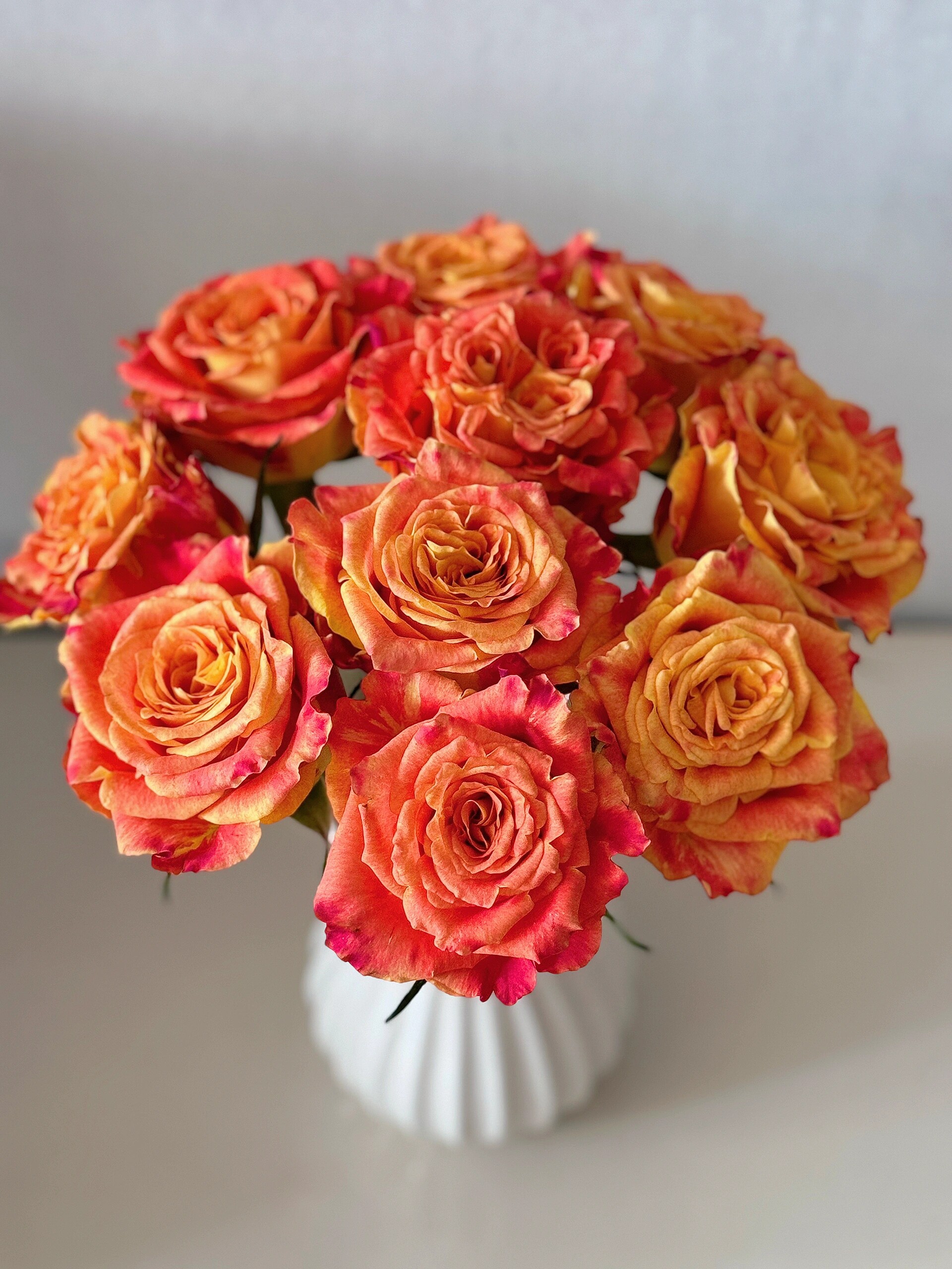 a级欢乐颂玫瑰  任意2单顺丰冷链包邮