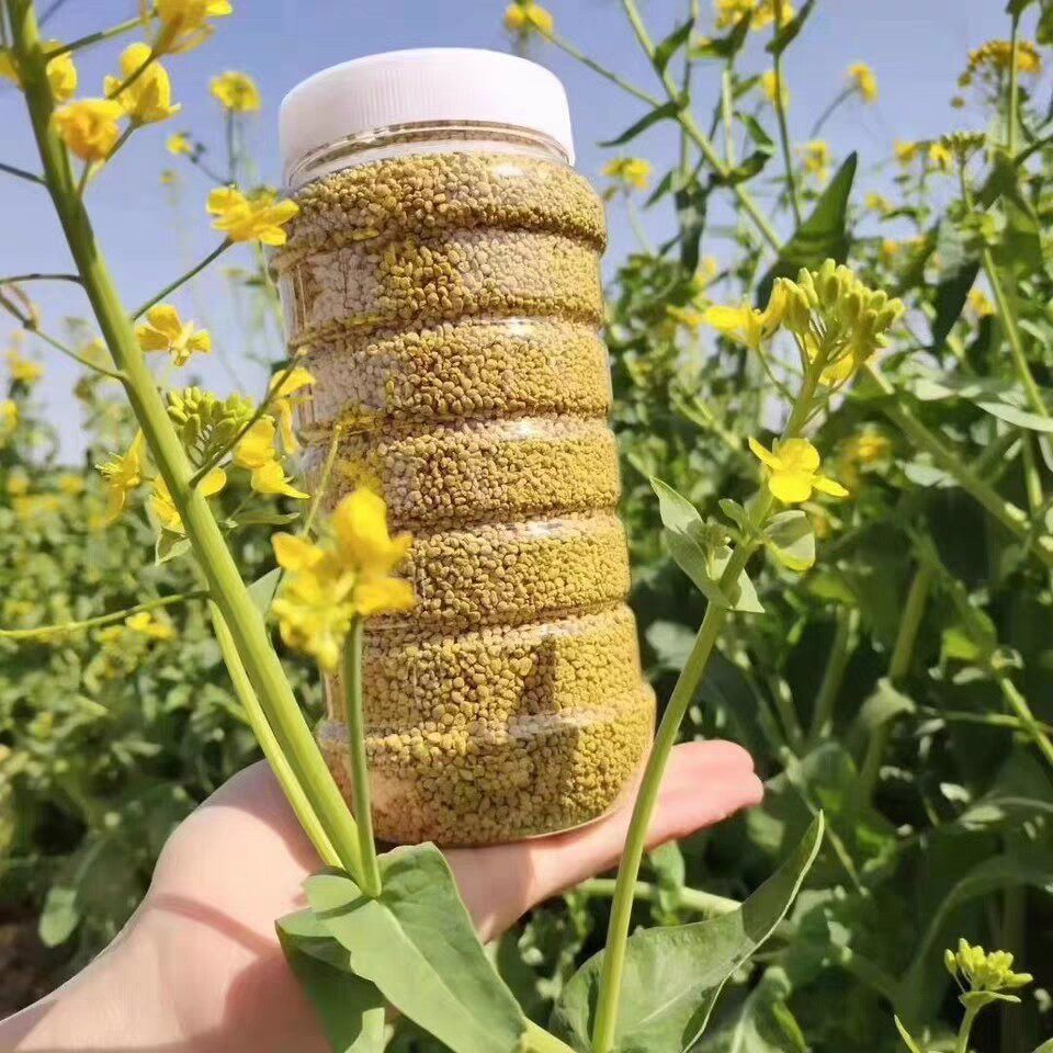 油菜花粉 500克 纯正天然蜂花粉 吕小蜂农家天然深山原蜂蜜