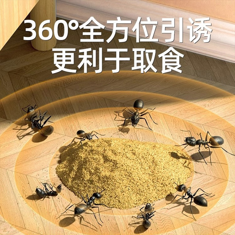 蚂蚁