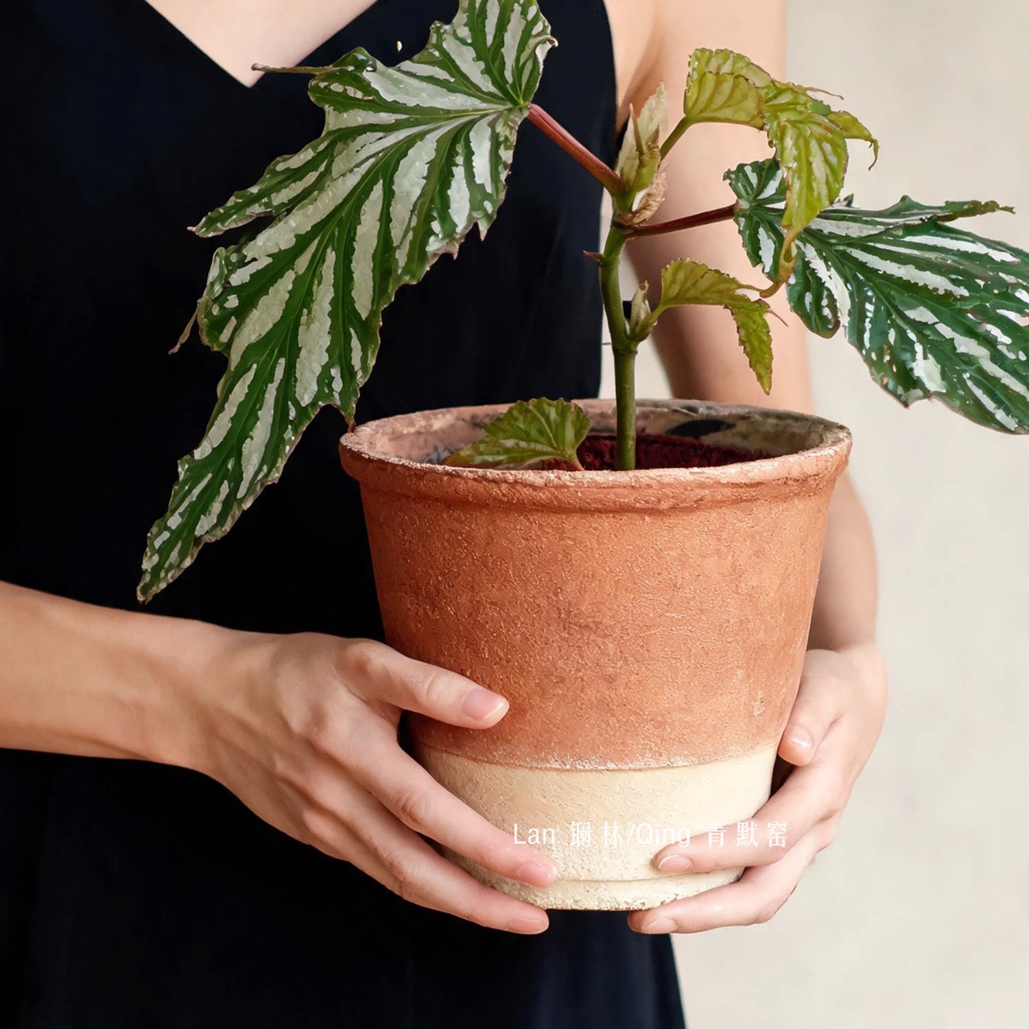 景德镇粗陶花盆家用透气多肉植物图片