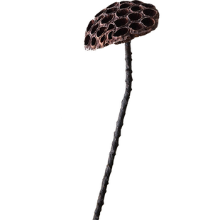 仿真干树枝室内插花干花餐厅民宿装饰莲叶禅意大荷叶莲蓬拍摄摆件