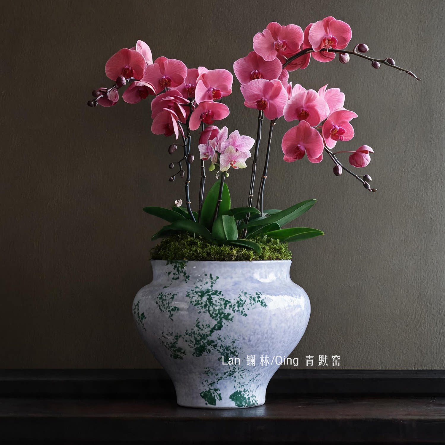 景德镇新中式陶瓷花盆彩绘蝴蝶兰专用盆室内客厅装饰家用绿植盆栽