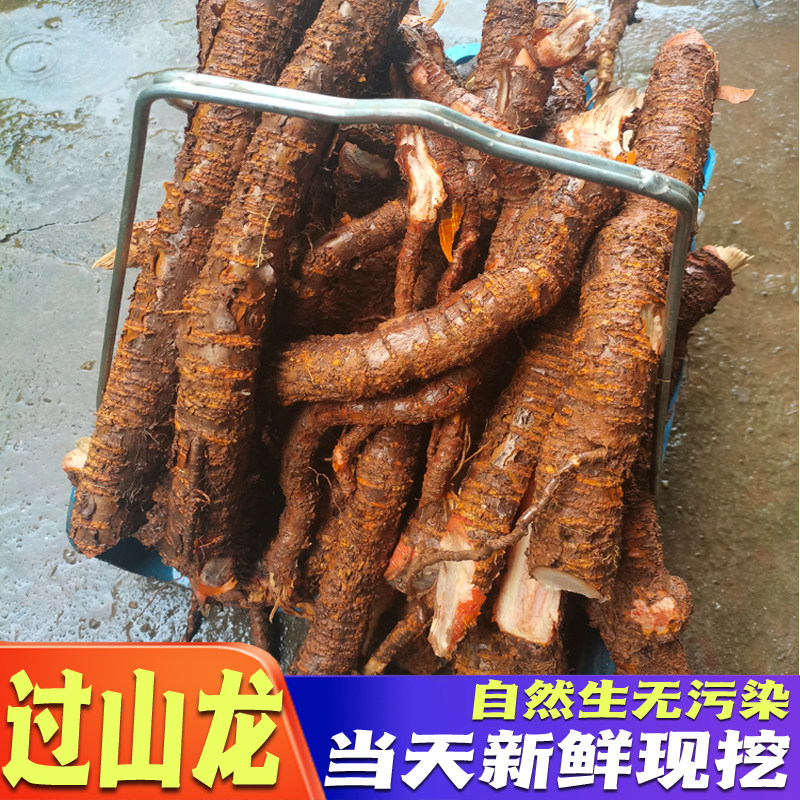 过山龙中药材南蛇藤根纯根 过山枫大南蛇穿山龙新鲜包邮干品,传统滋补营养品,其他药食同源食品,淘宝优惠券,粉丝福利购,淘宝优惠卷