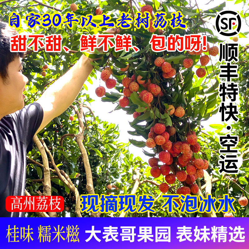 [大表哥]空运正宗高州荔枝老树白糖罂妃子都笑新鲜水果桂糯米味糍