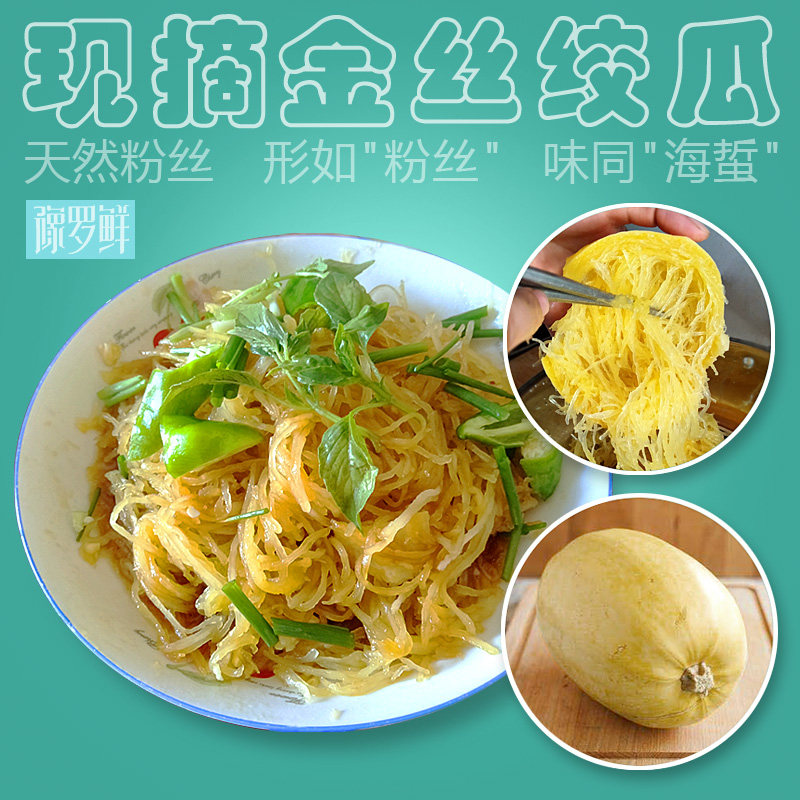 现摘金丝绞瓜崇明天然时令新鲜