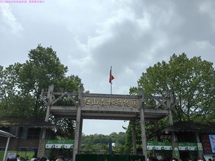 南京红山森林动物园其他代购