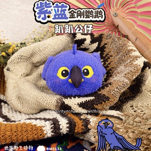 【新品】紫蓝金刚鹦鹉趴趴花环南京红山森林动物园代购