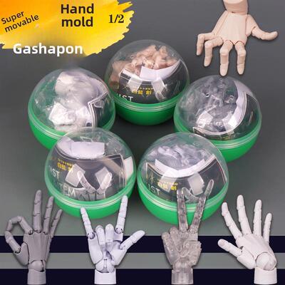迷你1/2 Gashapon手掌模型超级活动手指关节手模型绘画素描标准右