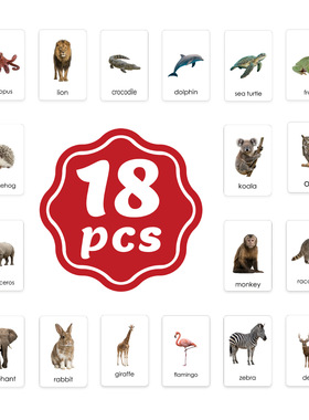 跨境英语启蒙Flashcard写实动物闪卡水果形状车辆早教认知抽认卡