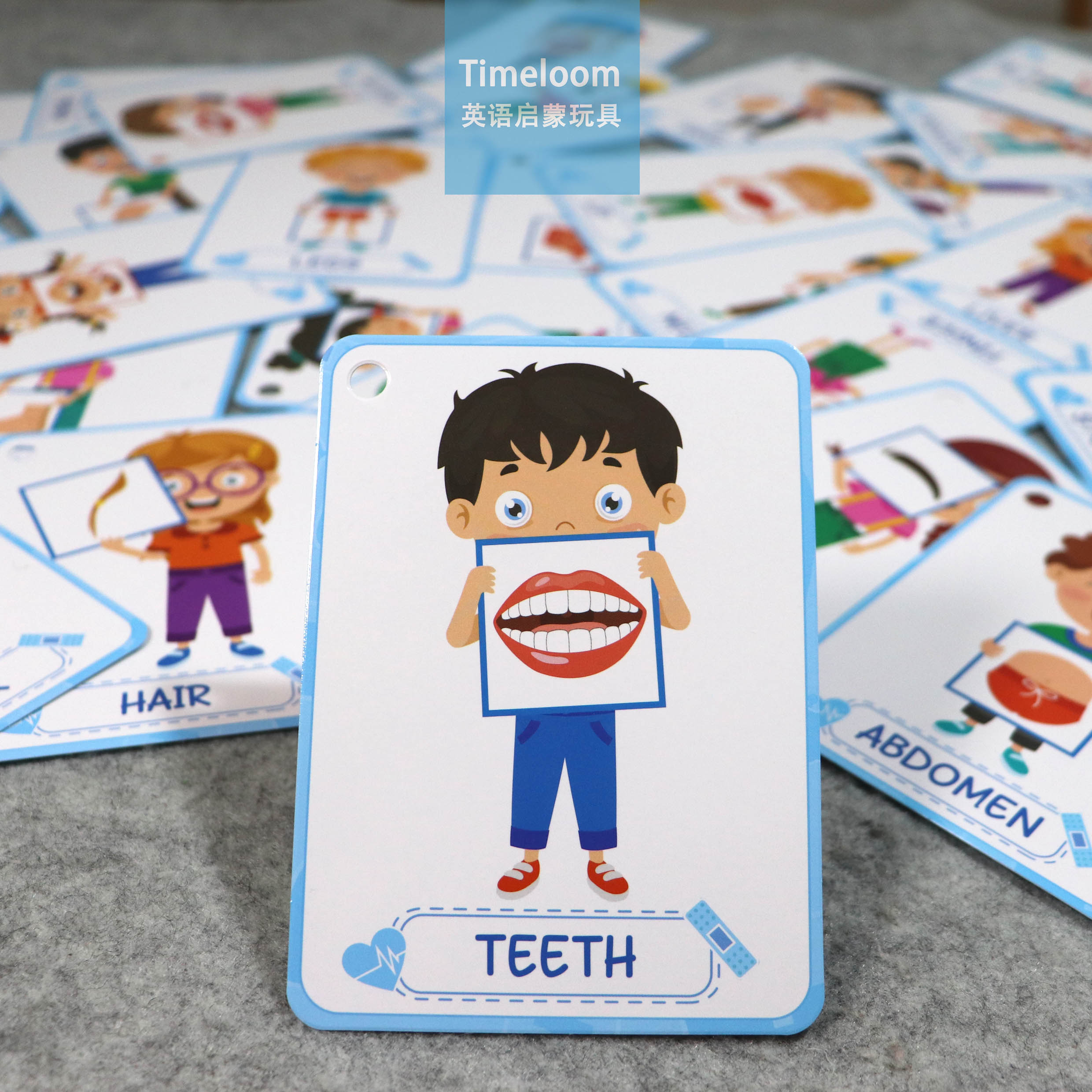 跨境英语启蒙Flashcard身体闪卡五官Body认知儿童教具闪卡教育卡