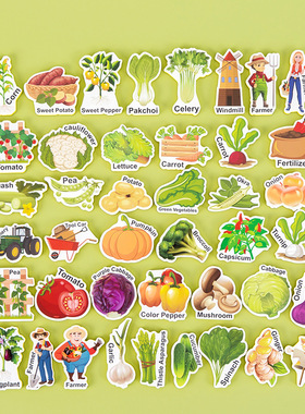 跨境英语启蒙Magnetic磁性动物字母数字交通工具冰箱贴早教教具