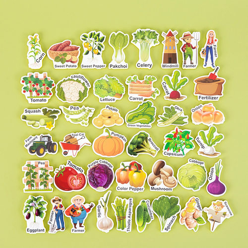 跨境英语启蒙Magnetic磁性动物字母数字交通工具冰箱贴早教教具