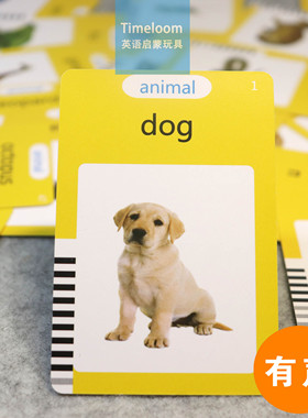 跨境英语启蒙FlashCards有声闪卡插卡机早教卡片机动物蔬菜职业
