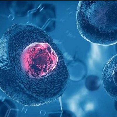 细胞级原料根源亢衰淡纹