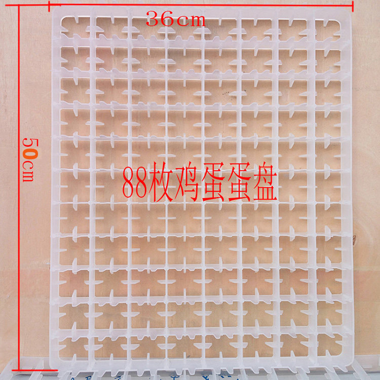 鸡蛋盘孵化机配件鸡鸭蛋盘鸽子鹅蛋托盘鸵鸟蛋盘塑料蛋托鹌鹑蛋托