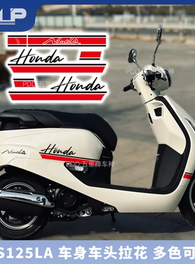 适用本田NS125LA踏板摩托车车身改装饰拉花贴纸全车保护贴膜个性