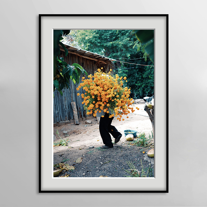 pia riverola西班牙彩色摄影师小众艺术卡纸装饰画酒店高级感挂画图片
