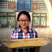 陕西米脂小米陕北黄小米5斤2025新米农家山西小黄米延安黄米 包邮