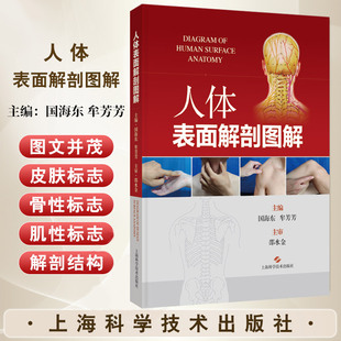国海东等编 取穴方法 人体表面解剖图解 全身361个经穴和48个标准经外穴 社 头部表面解剖颈部表面解剖等7个部分 上海科学技术出版