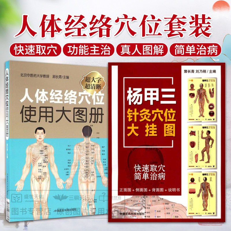 人体经络穴位使用大图册+杨甲三针灸穴位大挂图 2本 中医养生 正版 针灸 穴位 中国医药科技出版社