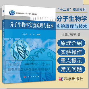 分子生物学实验原理与技术 张英 普通高等教育十二五规划教材 用氯化钙法制备新鲜的大肠杆菌感受态细胞 核酸的定量 科学出版社