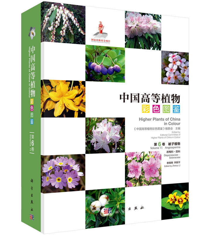 中国高等植物彩色图鉴 第六卷 被子植物 岩梅科/茄科