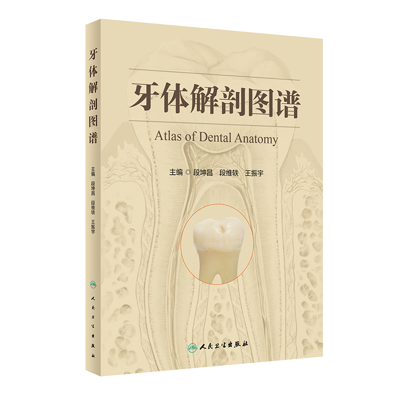 牙体解剖图谱 人民卫生出版社 段坤昌等编著 口腔颌面部的标志 恒牙与牙髓腔的形态 乳牙与牙髓腔的形态 上颌乳中切牙 牙冠的线角