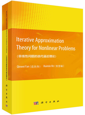 Iterative Approximation Theory for Nonlinear Problems（非线性问题的迭代逼近理论）