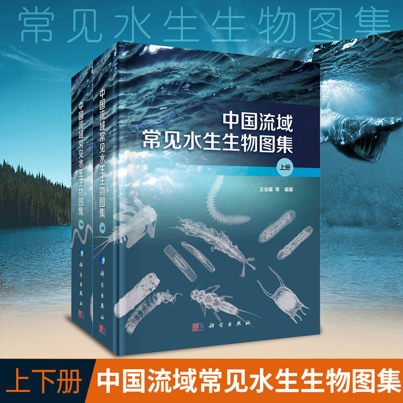 中国流域常见水生生物图集 上下册 业耀 等编著 节肢动物们 软体动物门 水生生物监测概况及物种名录 科学出版社 9787030627285