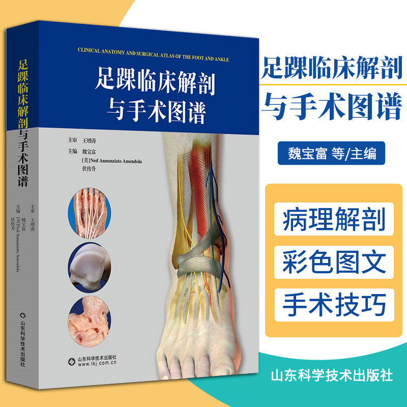 足踝临床解剖与手术图谱 魏宝富 等主编 山东科学技术出版社 9787572309991 足踝常用手术与解剖 急性踝关节扭伤的超声检查